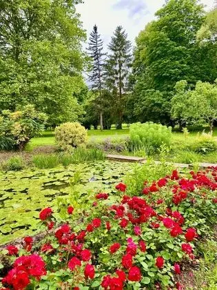 Üç Kişilik Oda (Royale)