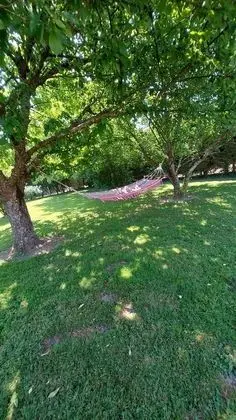 Family Kır Evi, Banyolu/Duşlu