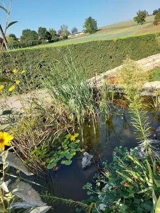 Standard Süit, Banyolu/Duşlu (Coquelicots)