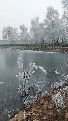 Standard Süit, Banyolu/Duşlu (Coquelicots)