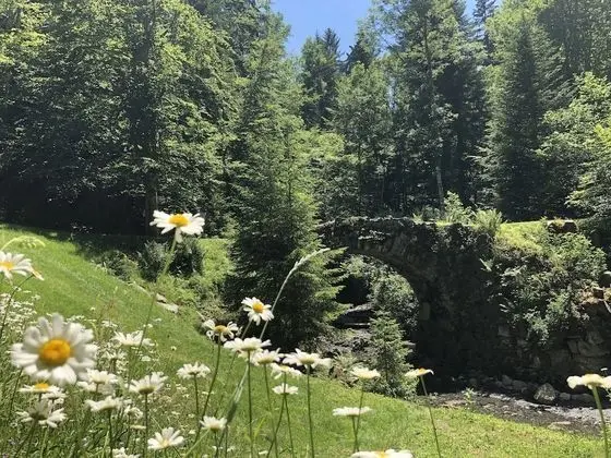 Apart Daire, Banyolu/Duşlu, Dağ Manzaralı (Aravis)