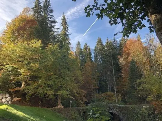 Apart Daire, Banyolu/Duşlu, Dağ Manzaralı (Aravis)