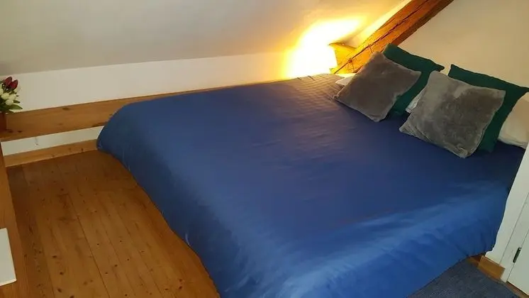 Tek Büyük Yataklı Oda, Sigara İçilmez, Üzüm Asması Manzaralı