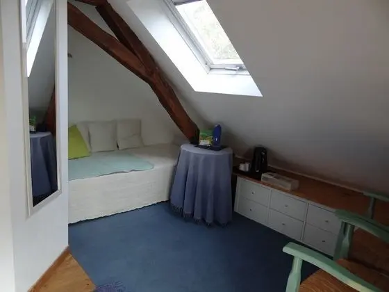 Tek Büyük Yataklı Oda, Sigara İçilmez, Üzüm Asması Manzaralı