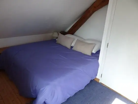 Tek Büyük Yataklı Oda, Sigara İçilmez, Üzüm Asması Manzaralı