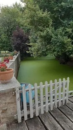 Dört Kişilik Oda