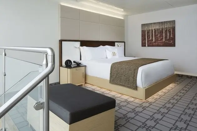 Deluxe Oda, 1 En Büyük (King) Boy Yatak (390 SQFT  36 SQM)