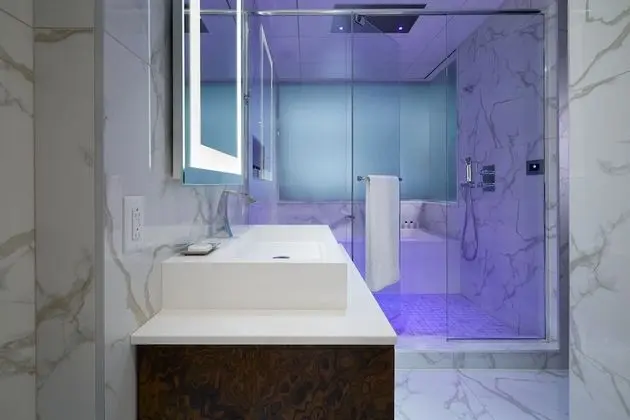 Luxury Oda, 1 En Büyük (King) Boy Yatak (540 SQFT  50 SQM)