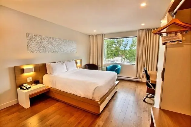 Comfort Oda, 1 Büyük (Queen) Boy Yatak, Engellilere Uygun