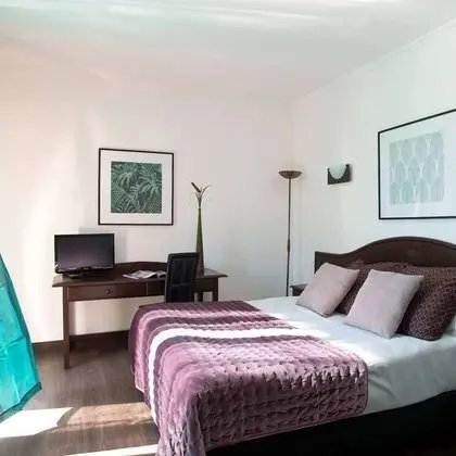 Superior Tek Büyük Yataklı Oda