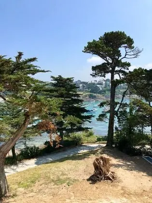 Comfort Tek Büyük veya İki Ayrı Yataklı Oda, Deniz Manzaralı (Main building)