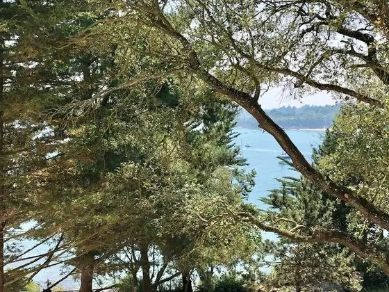 Comfort Tek Büyük veya İki Ayrı Yataklı Oda, Deniz Manzaralı (Main building)