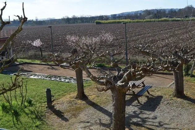 Tek Büyük Yataklı Oda (L'authentique)