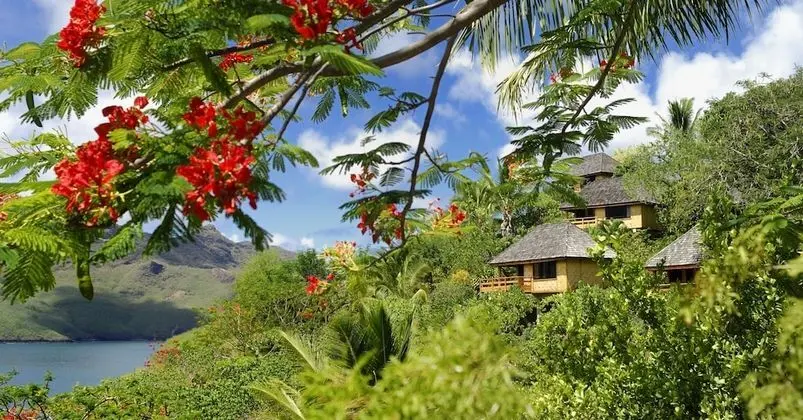 Premium Bungalov, Koy Manzaralı