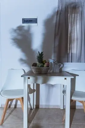 Standard Twin (Double) Studio with Garden View