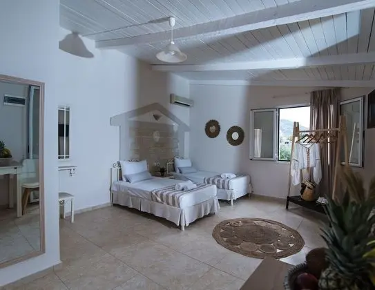 Standard Twin (Double) Studio with Garden View
