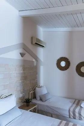 Standard Twin (Double) Studio with Garden View