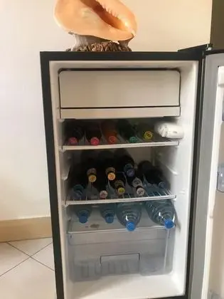 Standard Tek Büyük Yataklı Oda, Özel Banyo, Zemin Kat