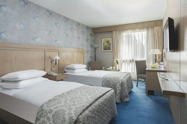 Deluxe Tek Büyük veya İki Ayrı Yataklı Oda
