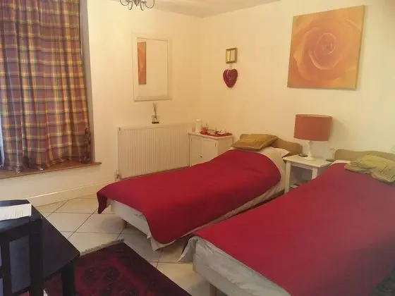 Luxury İki Ayrı Yataklı Oda, 2 Tek Kişilik Yatak