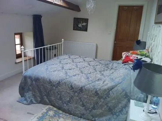 Luxury Tek Büyük Yataklı Oda, 1 Çift Kişilik Yatak