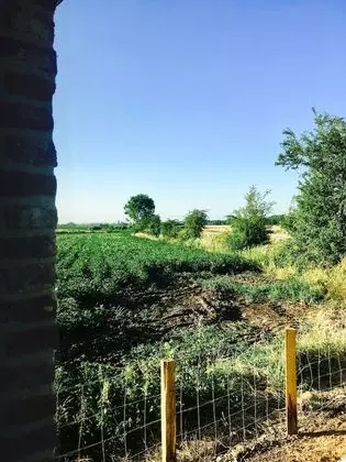 Dört Kişilik Oda, Birden Çok Yatak, Bahçe Manzaralı