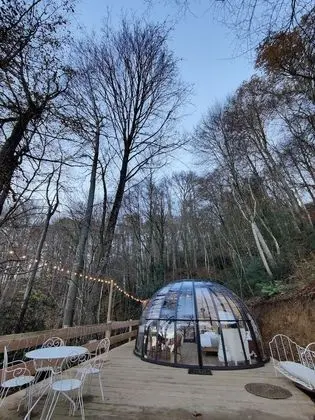 Comfort Çadır, Özel Banyo (Dôme transparent)