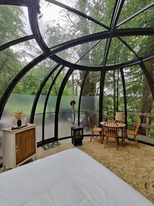 Comfort Çadır, Özel Banyo (Dôme transparent)