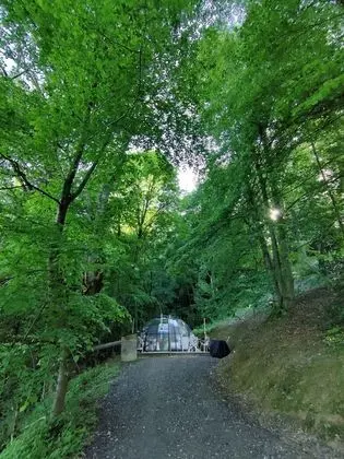 Comfort Çadır, Özel Banyo (Dôme transparent)