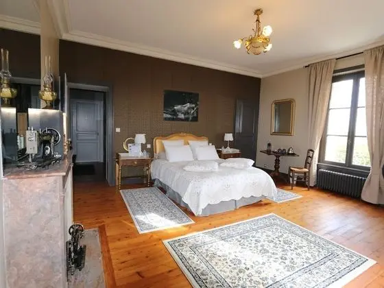 Luxury Tek Büyük Yataklı Oda, Banyolu/Duşlu, Park Manzaralı (CHAMBRE NUMERO 5)