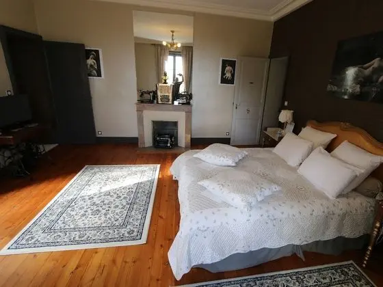 Luxury Tek Büyük Yataklı Oda, Banyolu/Duşlu, Park Manzaralı (CHAMBRE NUMERO 5)