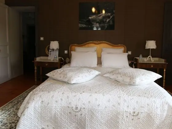 Luxury Tek Büyük Yataklı Oda, Banyolu/Duşlu, Park Manzaralı (CHAMBRE NUMERO 5)