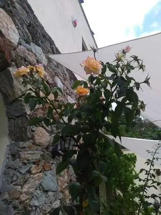 Basic Tek Büyük Yataklı Oda, Tepe Manzaralı
