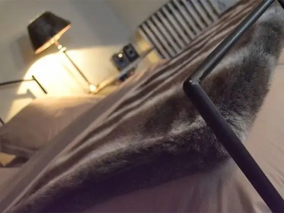 Superior Tek Büyük Yataklı Oda, Banyolu/Duşlu (Olive)