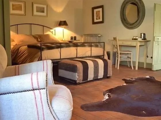 Superior Tek Büyük Yataklı Oda, Banyolu/Duşlu (Olive)