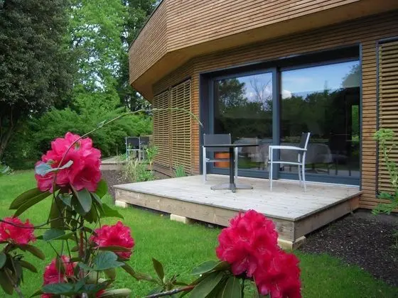 Deluxe Tek Büyük Yataklı Oda (Club Piscine)