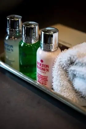 Luxury Oda, 1 En Büyük (King) Boy Yatak