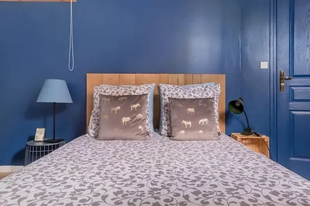 Classic Tek Büyük Yataklı Oda, 1 Çift Kişilik Yatak, Avlu Manzaralı
