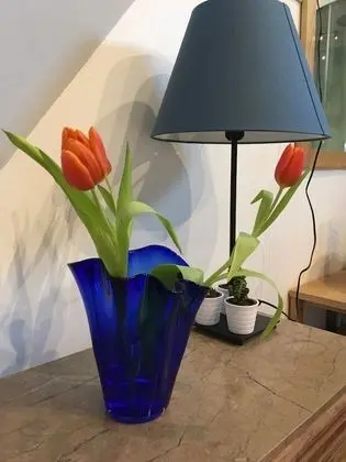Classic Tek Büyük Yataklı Oda, 1 Çift Kişilik Yatak, Avlu Manzaralı