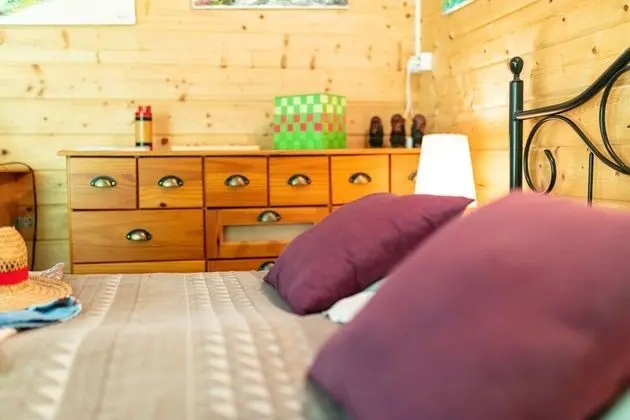 Basic Tek Büyük Yataklı Oda