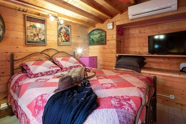 Basic Tek Büyük Yataklı Oda, Bahçe Manzaralı