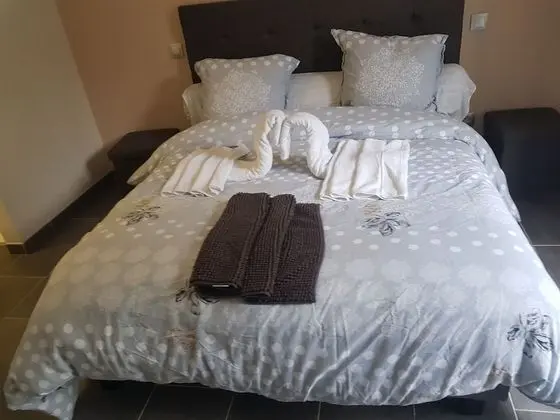 Comfort Tek Büyük Yataklı Oda (1)