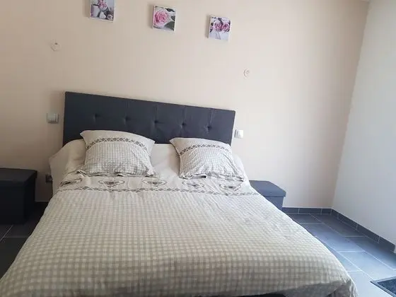 Comfort Tek Büyük Yataklı Oda (2)