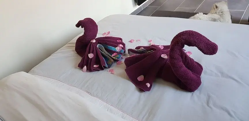 Comfort Tek Büyük Yataklı Oda (2)