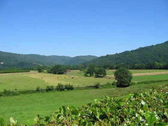 Tek Büyük Yataklı Oda (Dordogne)