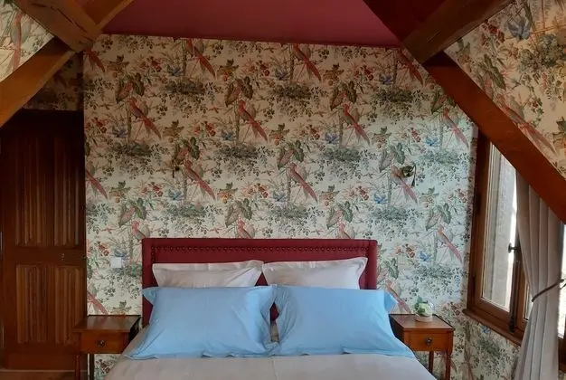 Comfort Oda (Les Oiseaux)