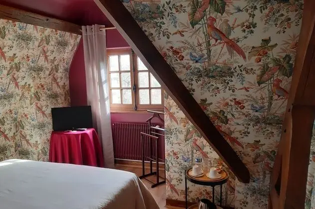 Comfort Oda (Les Oiseaux)