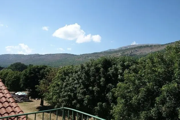 Superior Tek Büyük veya İki Ayrı Yataklı Oda, Teras