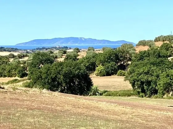 Superior Oda, 1 Çift Kişilik veya 2 Tek Kişilik Yatak, Balkon