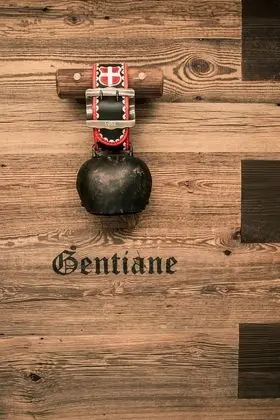 Classic Tek Büyük Yataklı Oda, Teras, Dağ Manzaralı (Chambre Gentiane)